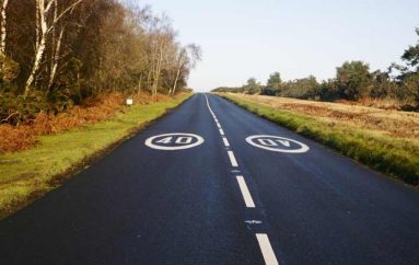 Road through Ashdown Forest