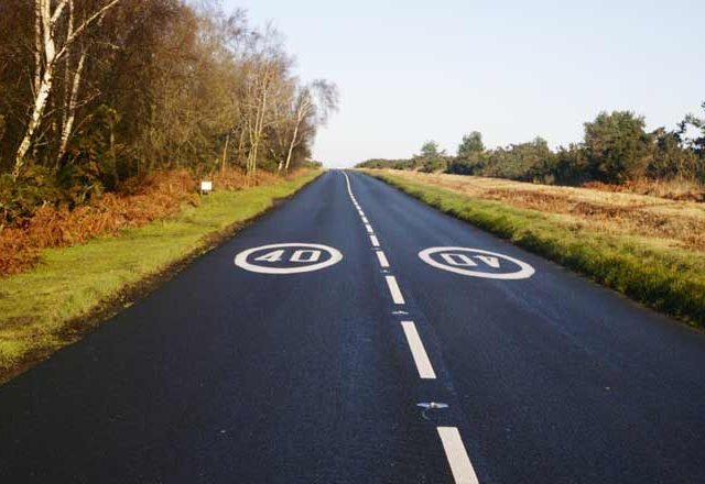 Road through Ashdown Forest